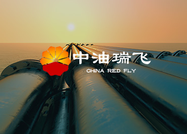 中油瑞飞能源行业网站案例赏析