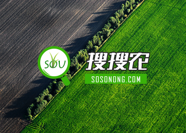 搜搜农农业类网站设计欣赏