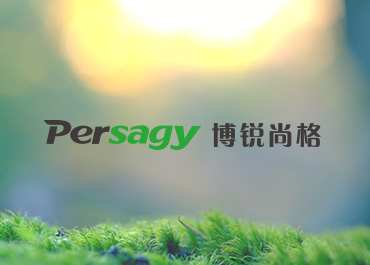 博锐尚格能源网站案例欣赏