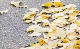 网页设计如何提升品质感