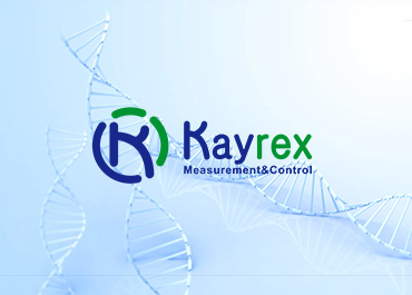 辉睿源气体分析网站案例欣赏