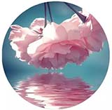 网站色彩设计与物理心理作用