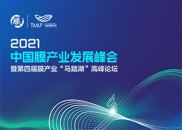 2021中国膜产业发展峰会网站制作开发案例