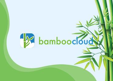 深圳竹云网站制作开发案例欣赏