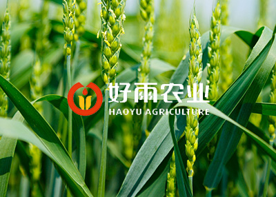 农产品网站设计制作案例欣赏