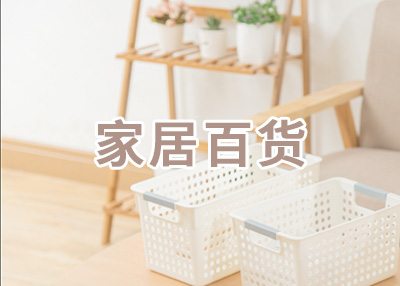 关于家居百货网站定制案例