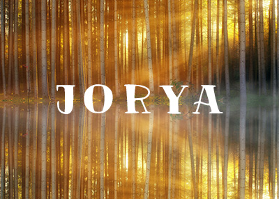 女装服饰网站开发案例欣赏