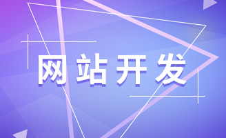 为什么专业网站开发，比自己建站更划算