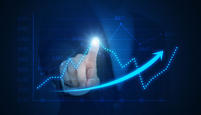 咨询类网站建设