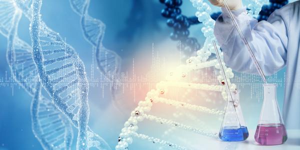 生物科技网站制作