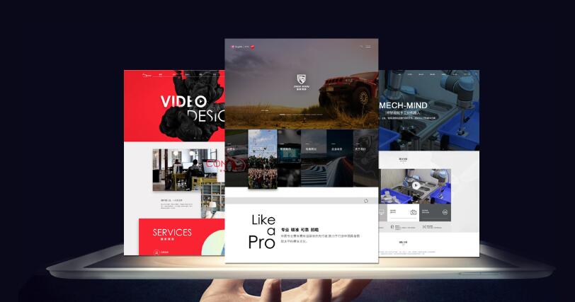 网站公司710公海案例