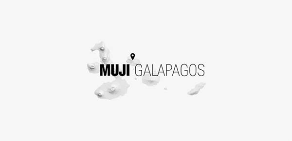 网页设计与APP设计赏析