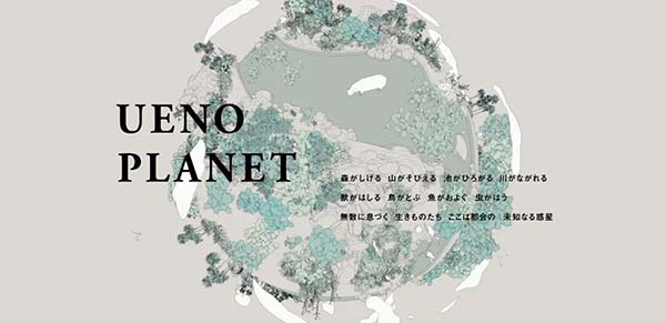 网页设计与APP设计赏析