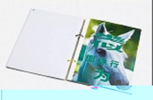 网页设计中放大汉字的力量