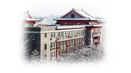 中欧企业战略研究院